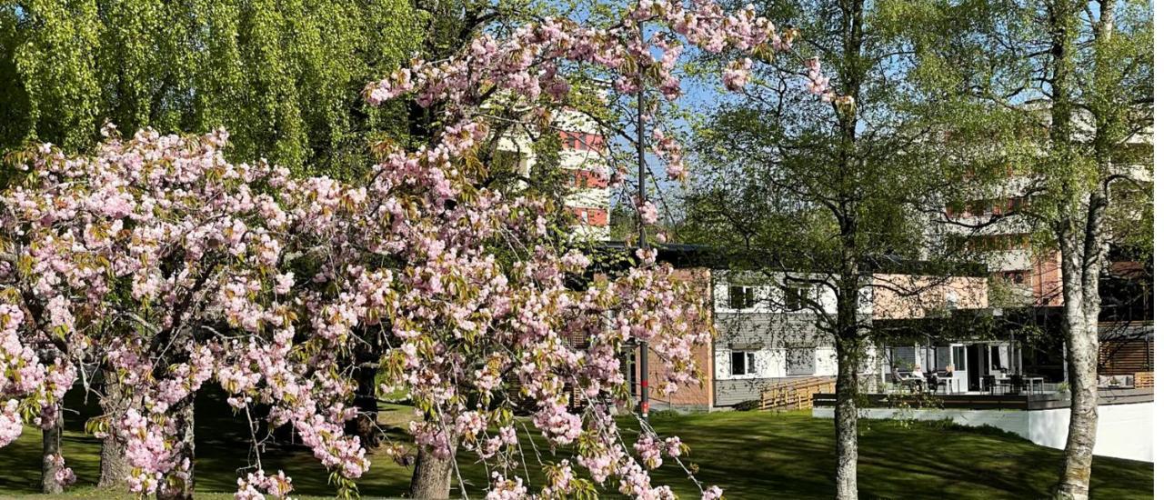 Emma Gjestehus Hotel Sandvika  Exterior foto